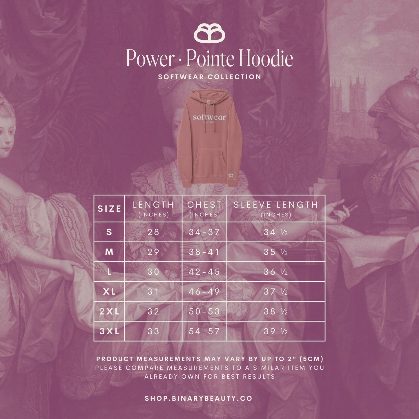 Softwear Hoodie in Power·Pointe